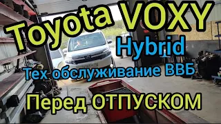 Toyota Voxy Hybrid Тех обслуживание ВВБ перед ОТПУСКОМ.