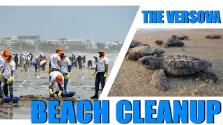 The Versova Beach Cleanup- A success story