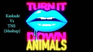 Turn It Down Animals (Kaskade Vs SRT Mashup)
