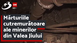 Mărturiile cutremurătoare ale minerilor din Valea Jiului