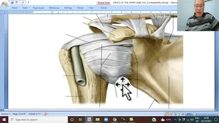 Musculo-skeletal Module I in Arabic 60 ( Shoulder joint, part 1  ) , by Dr. Wahdan 2022