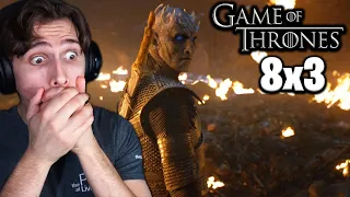 Game of Thrones - Episode 8x3 REACTION!!! "The Long Night"