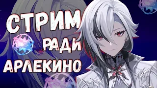 ВСЁ РАДИ АРЛЕКИНО... ♥ GENSHIN IMPACT