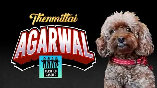Thenmittai Agarwal | Certified Rascals