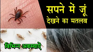 sapne me ju dekhna | seeing lice in dream | ju ka sapna dekhna kaisa hota hai |