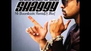 Shaggy - Mr Boombastic Remix[Dj Jflor ft. Dj Jomar]