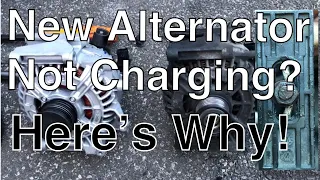 Mercedes New Alternator not charging. Here's why!