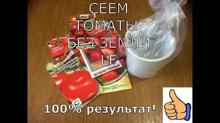 Сеем томаты без земли. Как посеять семена на рассаду без земли. Проверено временем.