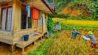 Tempat Dimana Hati Tenang , Suasana Pedesaan