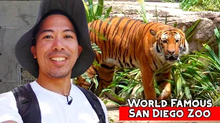 Inside the World Famous San Diego Zoo