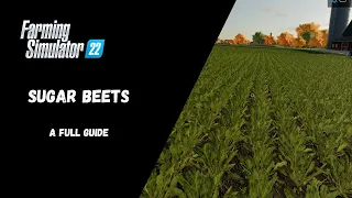 FS22 - Sugar Beets, A Full Guide - Farming Simulator 22