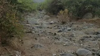 Flash Flooding in Arizona