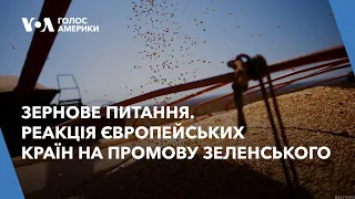 Зернове питання. Реакція європейських країн на промову Зеленського