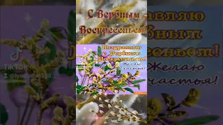 С  Вербным  Воскресеньем! Мира , счастья и добра ! 🕊🕊🕊🙏