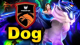 TNC vs TEAM DOG - SEMI-FINAL - Abed iceiceice inYourdreaM - BTS Pro Series 4 DOTA 2