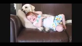 Дети и собаки! Очень смешное видео! | Funny dogs and children