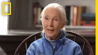 Jane Goodall's Inspiration | StarTalk