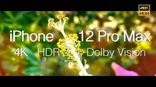 iPhone 12 Pro Max HDR Dolby Vision testing 07