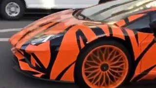 Tyga shows off his tiger print lambo! 🙌💯