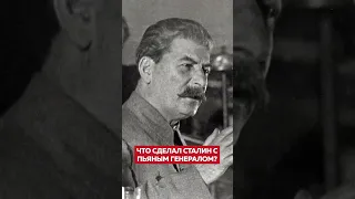 Пьяный генерал на встрече со Сталиным #Сталин #история #shorts