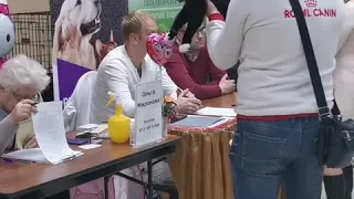 Международная выставка кошек Фрея, 08-09.02.2020