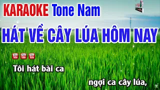 Hát Về Cây Lúa Hôm Nay Karaoke Tone Nam 2024 | Nhạc Sống Thanh Ngân