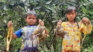 amazing slingshot bird hunting