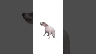 собака танцует meme мем mem