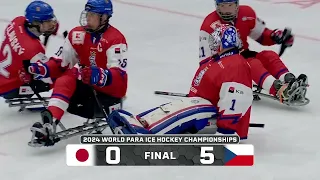 Czechia vs  Japan HNLive HL
