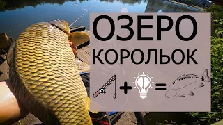 КАРПФІШИНГ в КИЄВІ.  ОЗЕРО КОРОЛЬОК. РИБАЛКА НА ФЛЕТ.