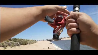 California Aqueduct fishing plus tips and bait for catfish