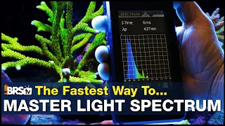 Master Spectrum - It’s time to change the way we think about reef tank LED lighting.