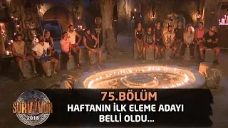 Haftanın ilk eleme adayı belli oldu... | 75. Bölüm | Survivor