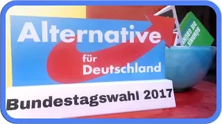 Die AfD erklärt | Bundestagswahl 2017