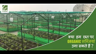 Organic Farming on Rooftop