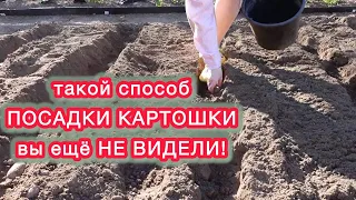 САМЫЙ ПРОСТОЙ И ЛЕГКИЙ СПОСОБ ПОСАДКИ КАРТОФЕЛЯ.