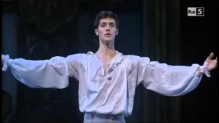 Sleeping Beauty Act 2 solo - Bolle 2001