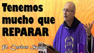 DÍGANME SI ESTO NO ES SATÁNICO - P. Carlos Spahn