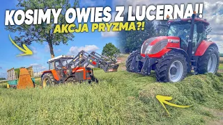 Gdzie te Żniwa??🌾Zetor vs Orkan 🔥 Kiszonka od A do Z ☘️ NIEMENÓWKA#49