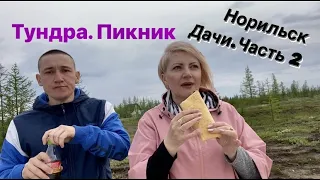 Норильск/Пикник на природе/ Тундра/ Дачный посёлок.