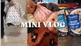 Mini Vlog With Twins | Grocery Haul | Hip Ultrasound Appointment