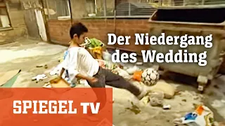 Der Niedergang des Wedding (1998) | SPIEGEL TV