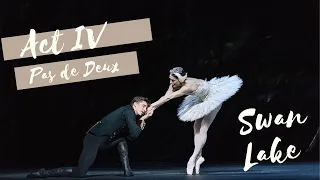 Marianela Nunez and Vadim Muntagirov - ACT IV Pas de Deux - Swan Lake