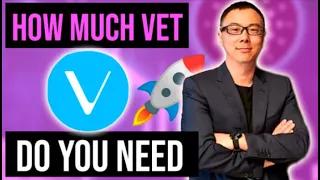 🚀HOW MUCH VECHAIN (VET) DO YOU NEED TO BE A CRYPTOCURRENCY MILLIONAIRE ?🚀