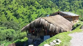 Simple Happy Himalayan Village Life | Nepal | Most Peaceful and Relaxation Mountain Village Life |