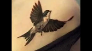 ИЗБРАННЫЕ ТАТУ  ЛАСТОЧКИ.(SELECTED TATTOO SWALLOW)