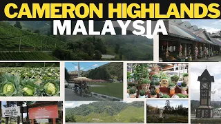 cameron highlands malaysia