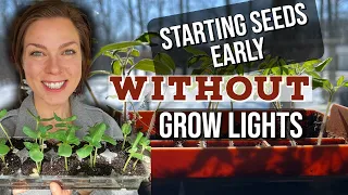 Starting Seeds Early Without Grow Lights