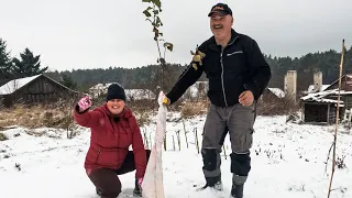 PRAWDZIWA ZIMA NA ROZTOCZU - ZABEZPIECZAMY DRZEWKA OWOCOWE