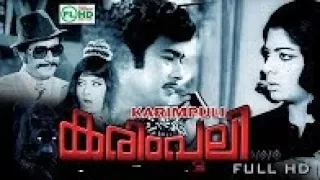 Karimpuli | Malayalam super Hit action movie | Vincent | Vijayalalitha | Joseprakash Others